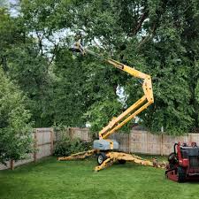 Best Tree and Shrub Care  in Rancho Laveras, CA